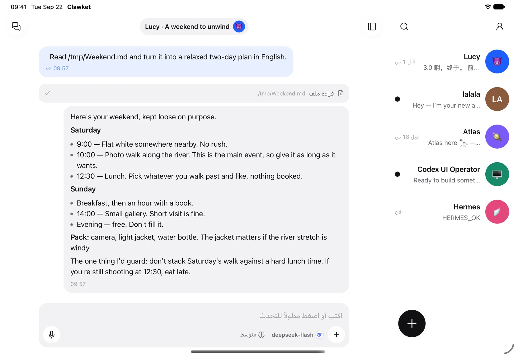 Clawket على iPad مع الوكلاء والمحادثة جنبًا إلى جنب