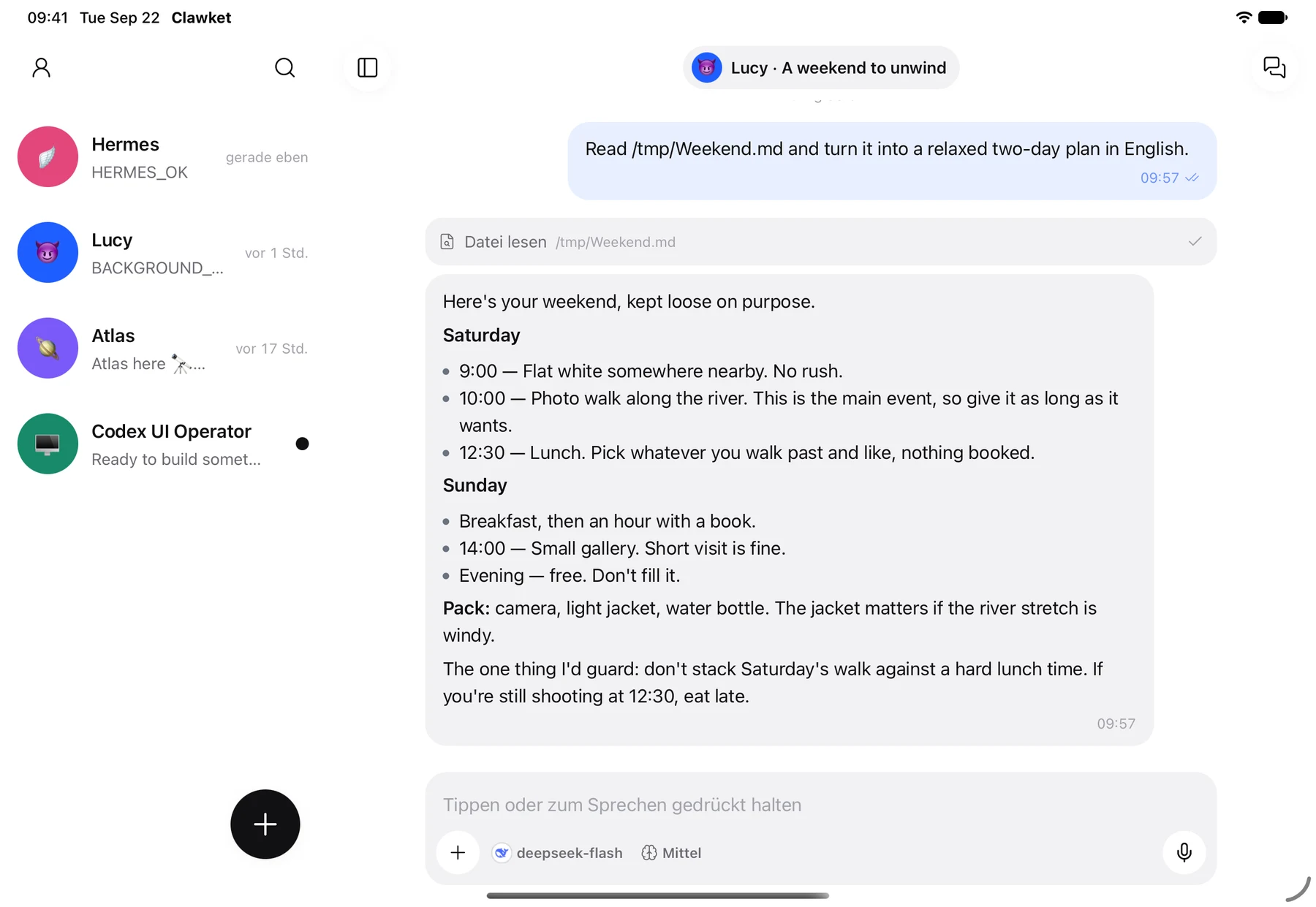 Clawket auf dem iPad mit Agenten und Gespräch nebeneinander