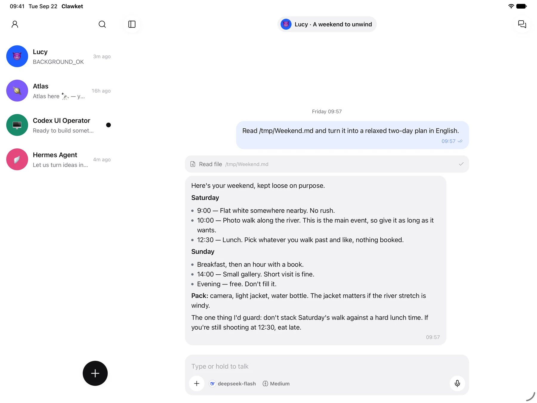 Clawket on iPad with agents and conversation side by side