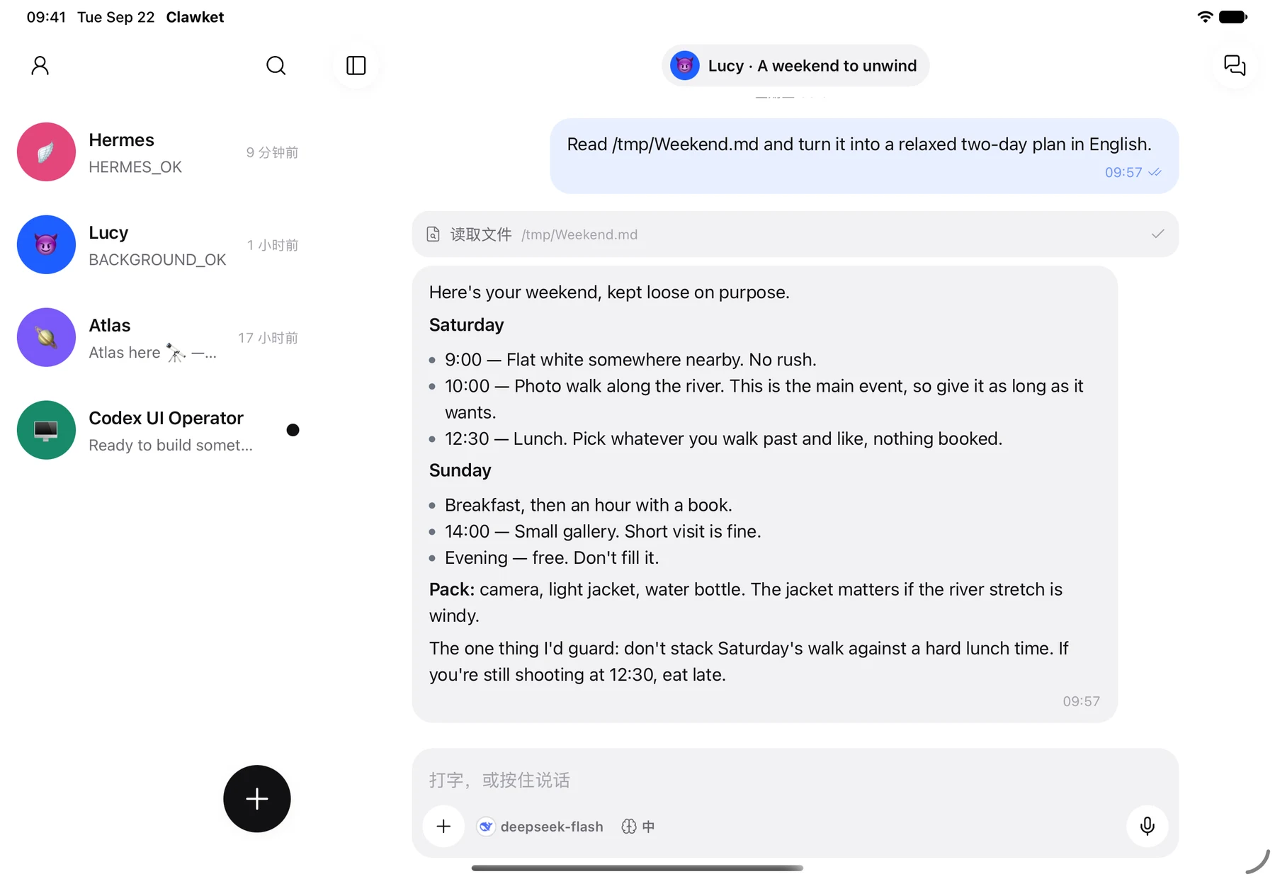 iPad 上的 Clawket：Agent 列表与对话并排显示